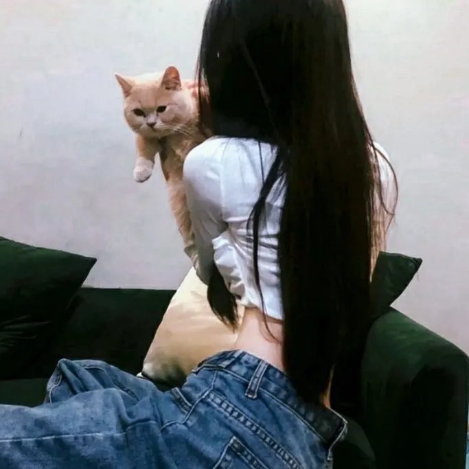 家庭私小说